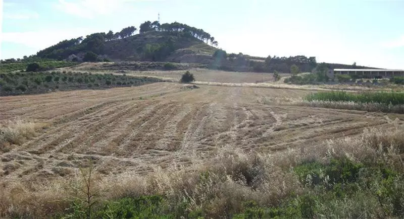 Agriturismo Fattoria Spezia