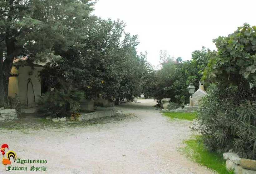 Agriturismo Fattoria Spezia