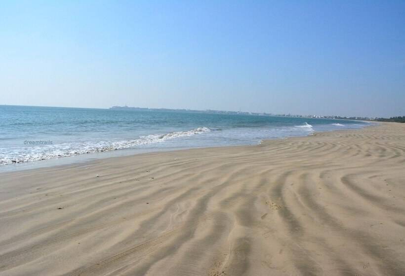 Pensjonat Dream Vision Guest House