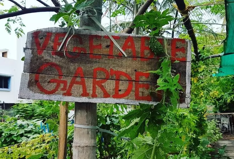 Majatalo Dream Vision Guest House