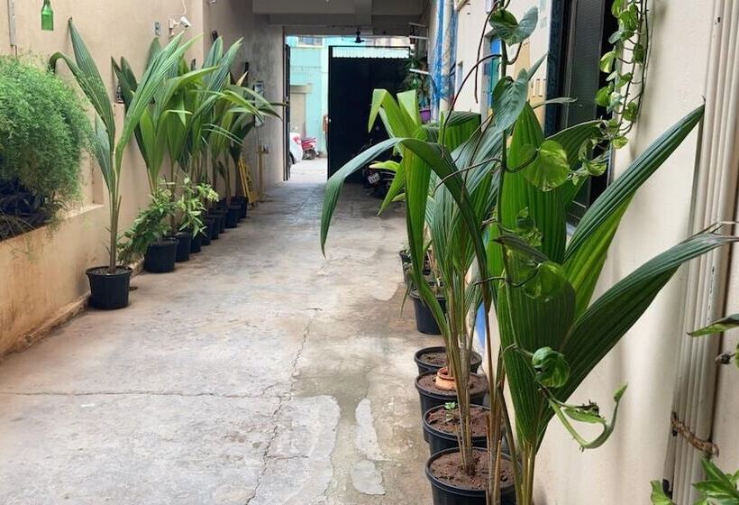 Pensjonat Dream Vision Guest House