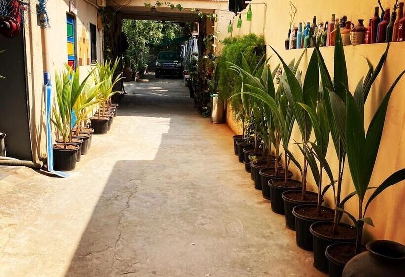 Pensjonat Dream Vision Guest House