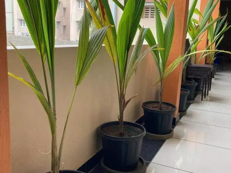 Majatalo Dream Vision Guest House