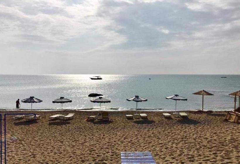 레지던스 Stegna Dream