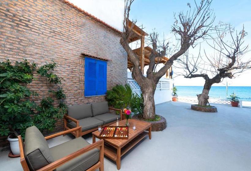 레지던스 Stegna Dream