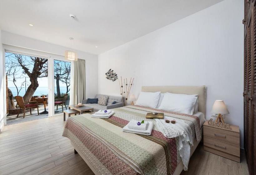 레지던스 Stegna Dream