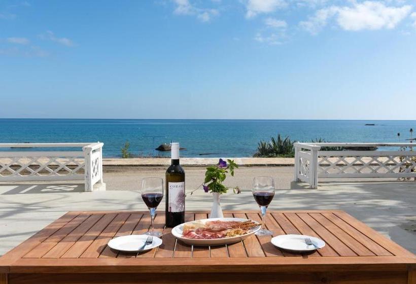 레지던스 Stegna Dream