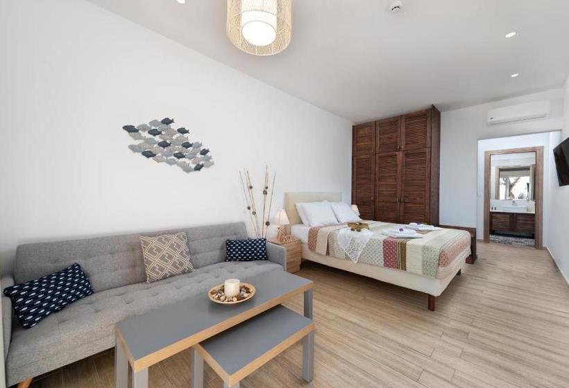 레지던스 Stegna Dream