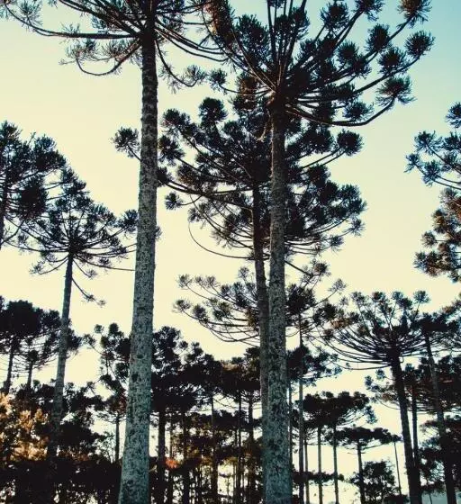 مسافرخانه Refúgio Do Lago