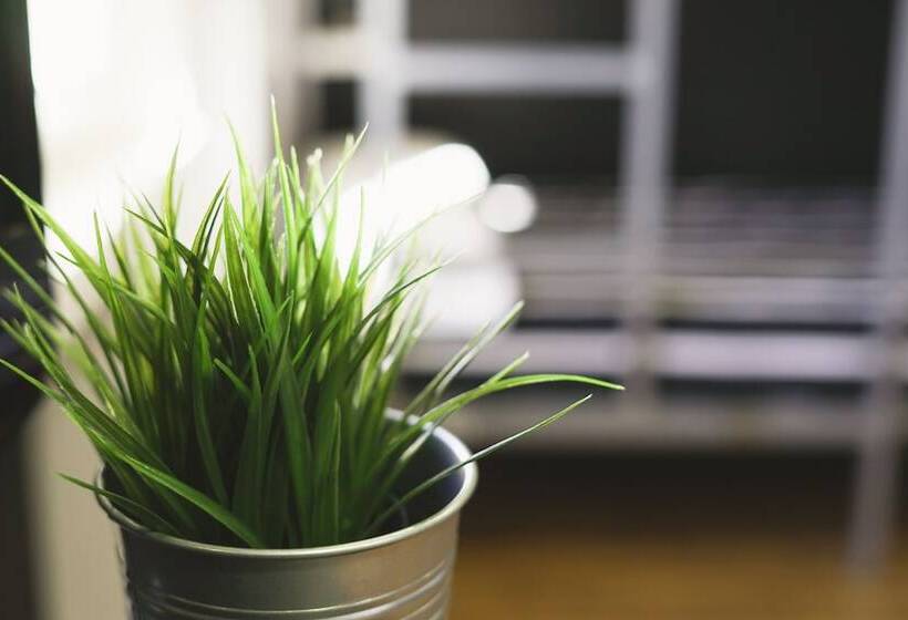 فندق صغير North Surfhouse