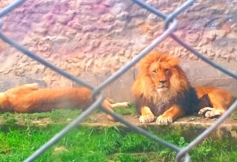 هتل Casa Blanca Hospedaje