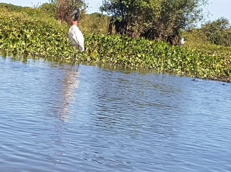 Hotelli Pousada Porto Da Fazenda