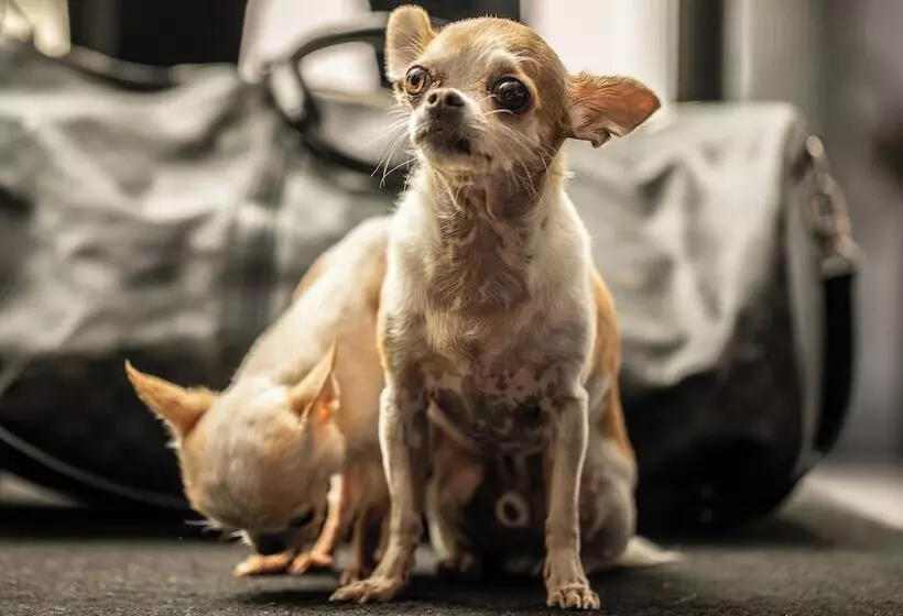 Hotelli Reggia Suite Spa