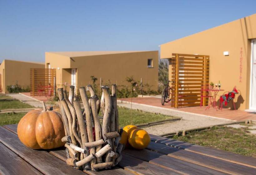 בית מלון כפרי Entre Vinhas & Mar