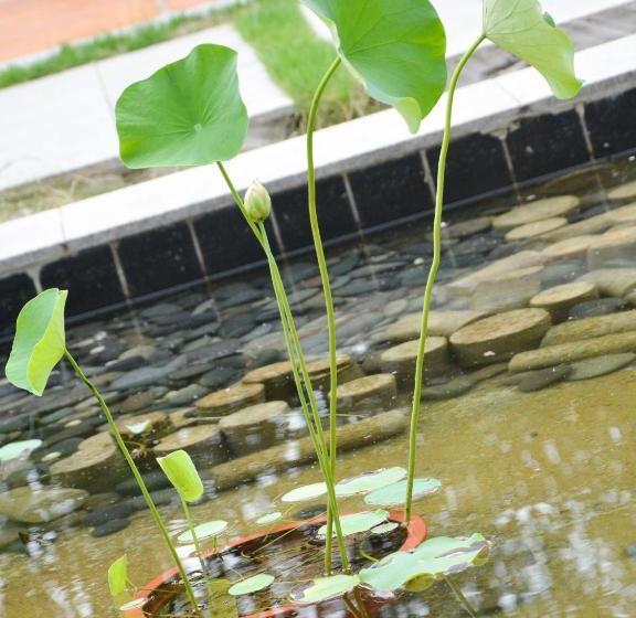 هتل Xinyi Art Suit