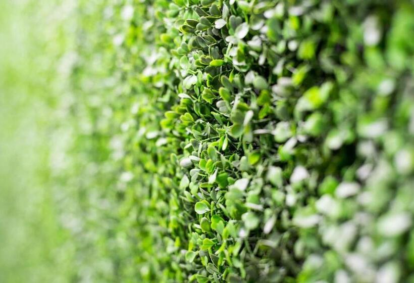 فندق فئة نجمة واحدة Optimi Rooms Bilbao