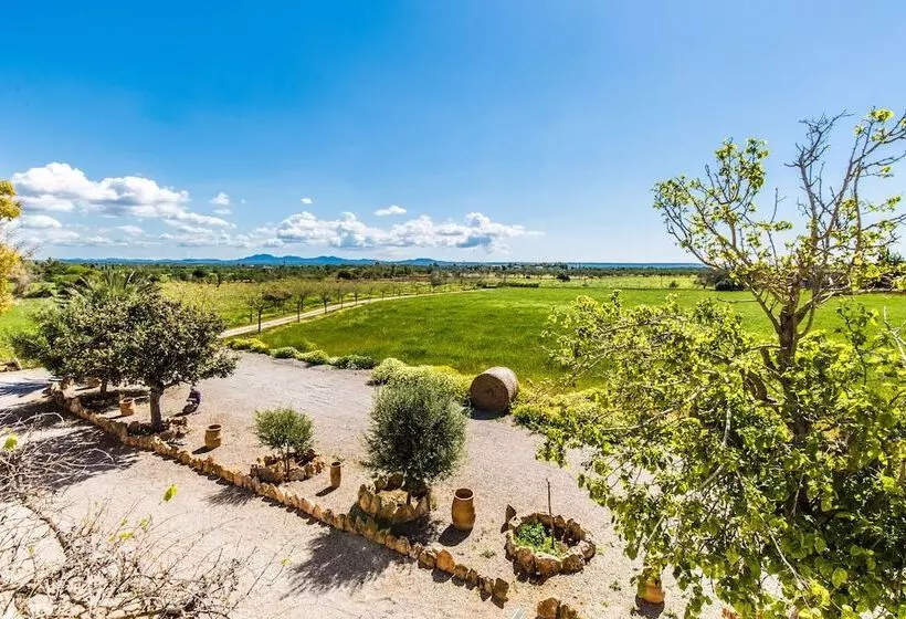 Maaseutuhotelli Finca Agroturismo Sa Cova Den Borino