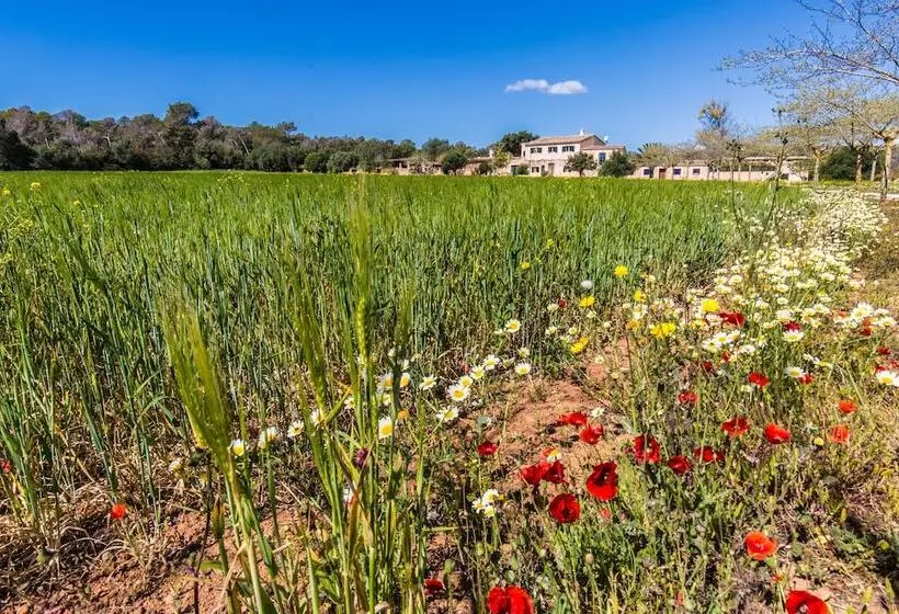 Maaseutuhotelli Finca Agroturismo Sa Cova Den Borino