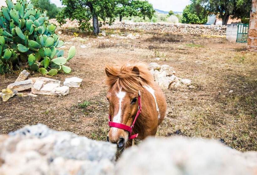 فندق ريفى Finca Agroturismo Sa Cova Den Borino