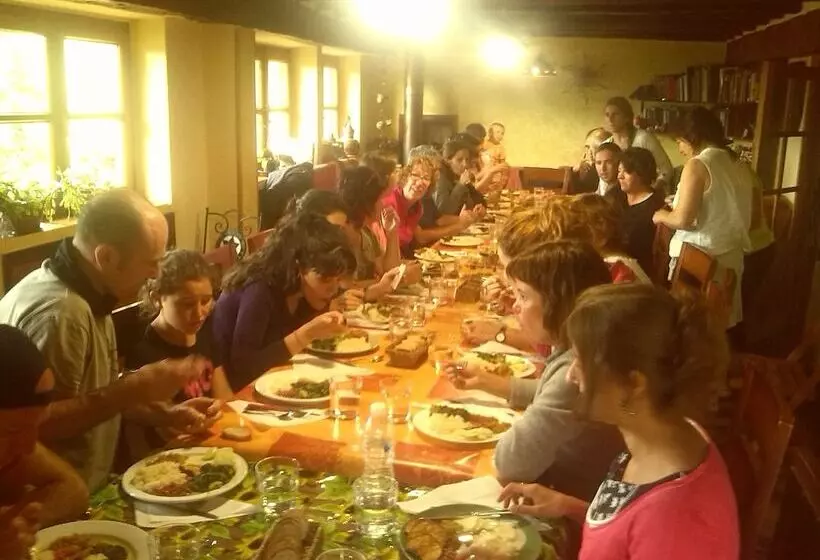 La Perezosa & Yoga   Hostel