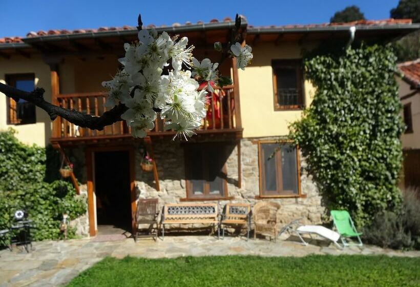 La Perezosa & Yoga Hostel