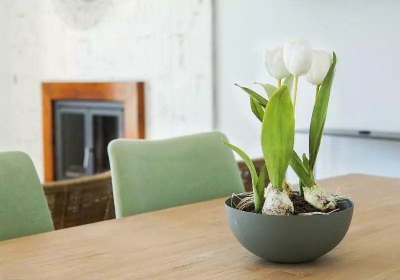 Renthas Paredones I Casa Rural  Caminito Del Rey