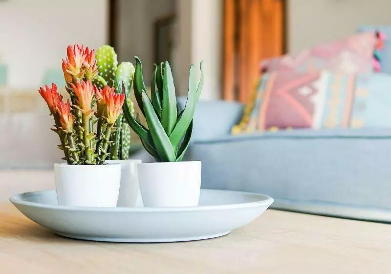 Renthas Paredones I Casa Rural  Caminito Del Rey