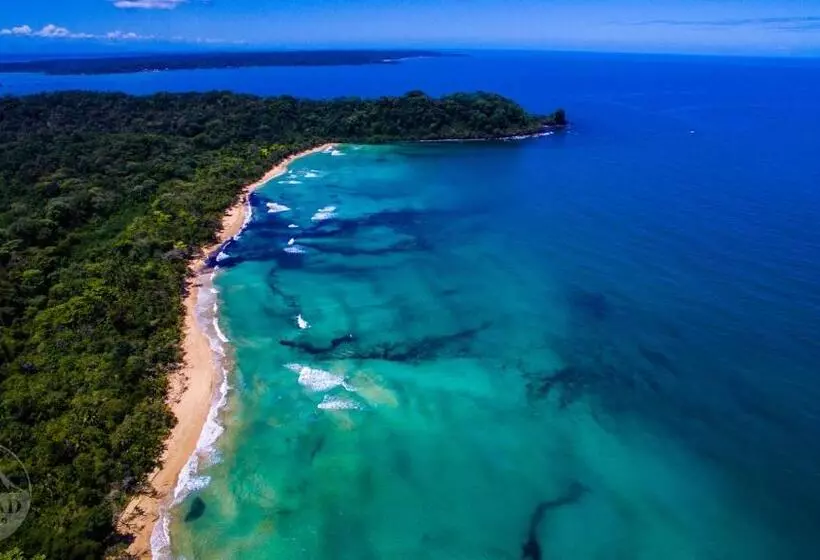 هاستل The Sea Monkey