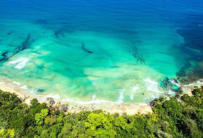 Herberge The Sea Monkey