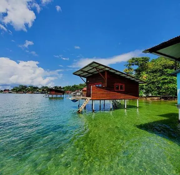 هاستل The Sea Monkey