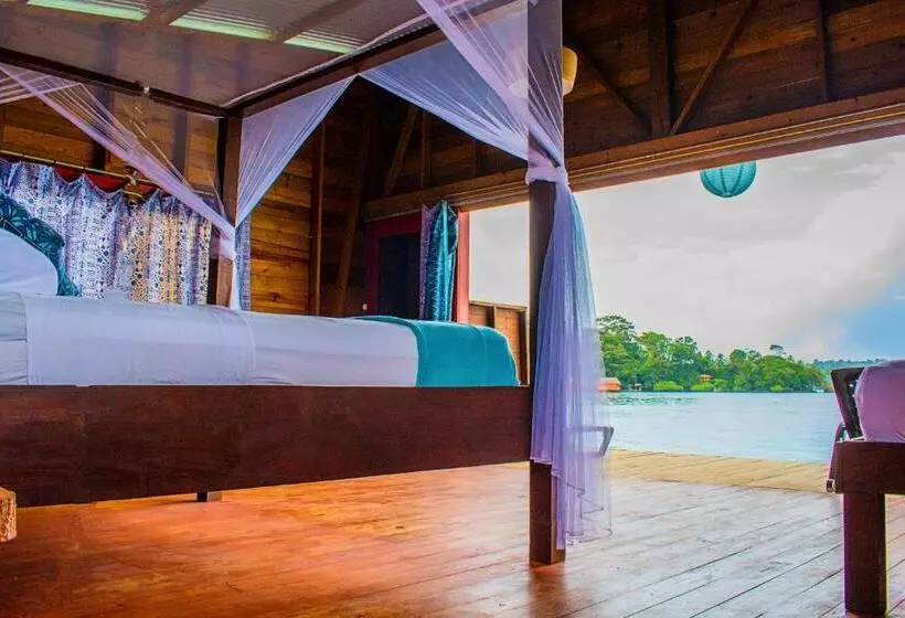 هاستل The Sea Monkey