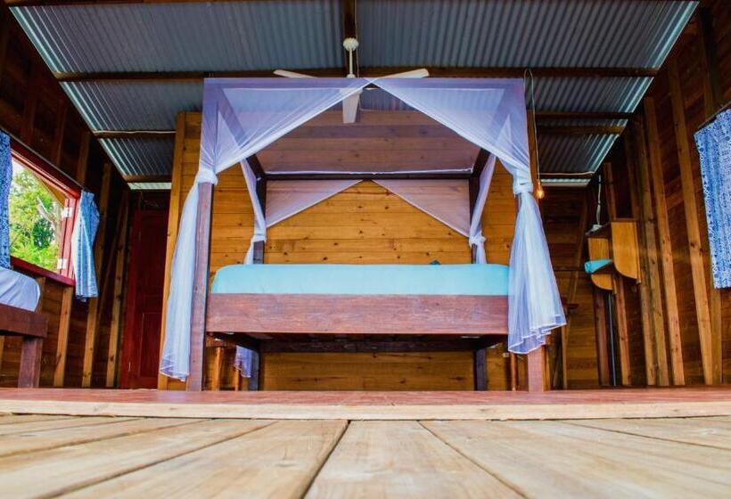 Herberge The Sea Monkey