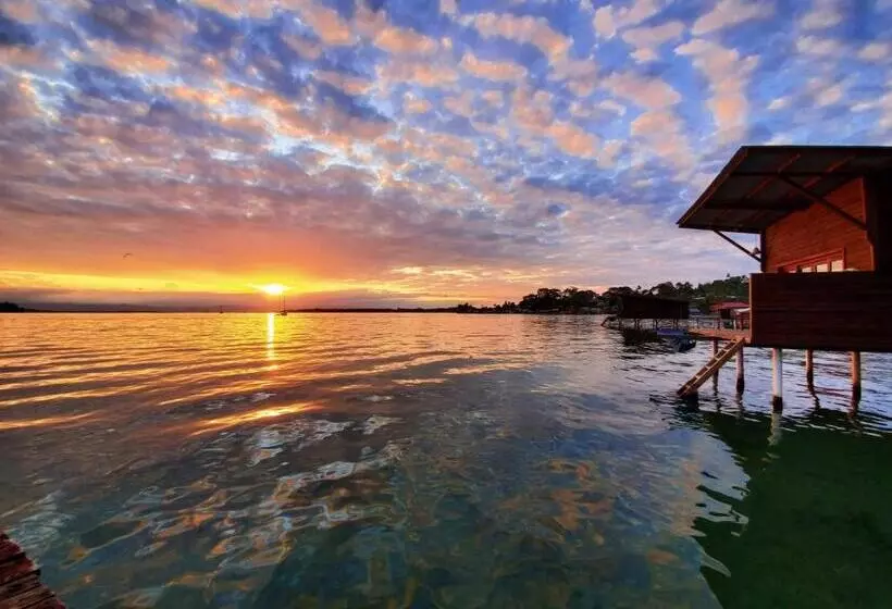 هاستل The Sea Monkey