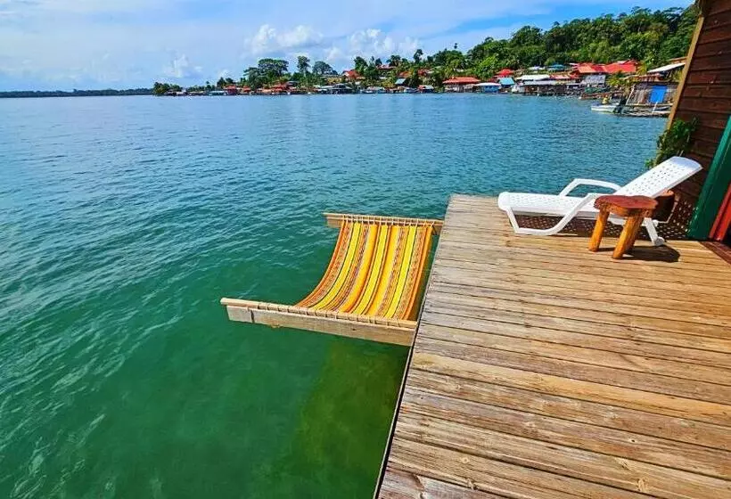 هاستل The Sea Monkey