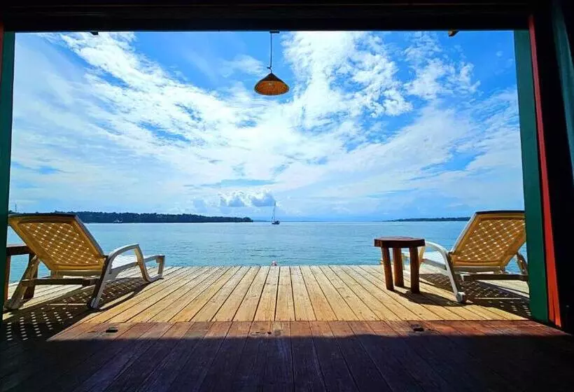 هاستل The Sea Monkey