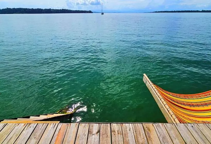 هاستل The Sea Monkey