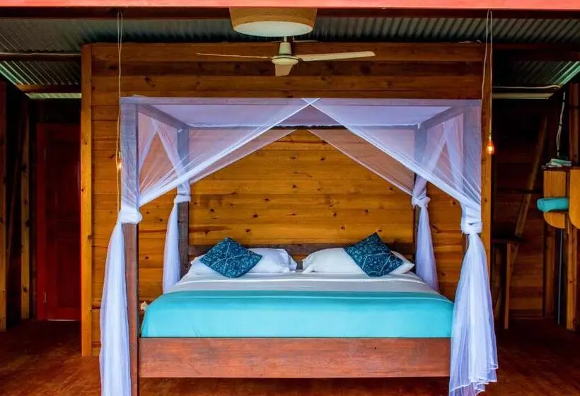 هاستل The Sea Monkey