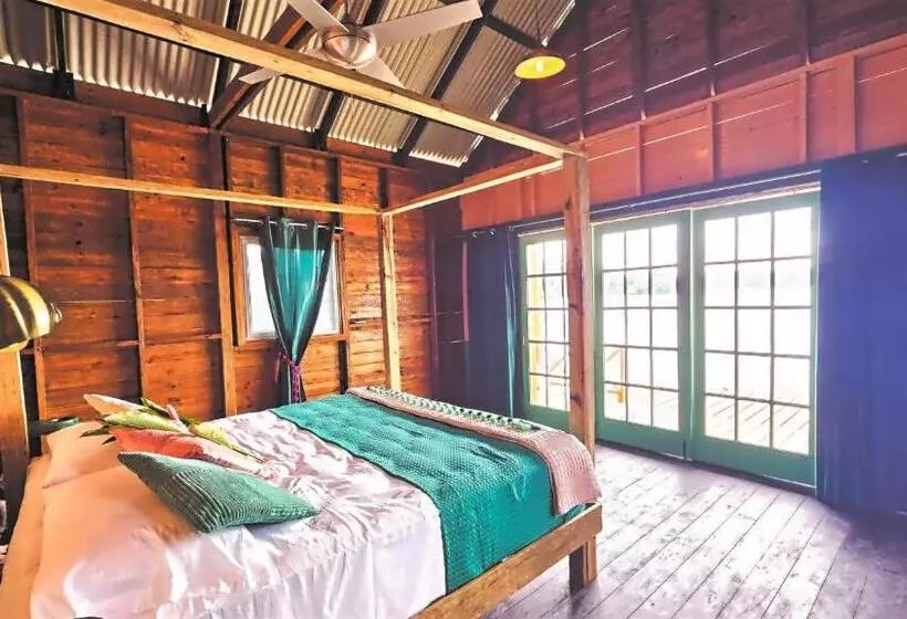 هاستل The Sea Monkey