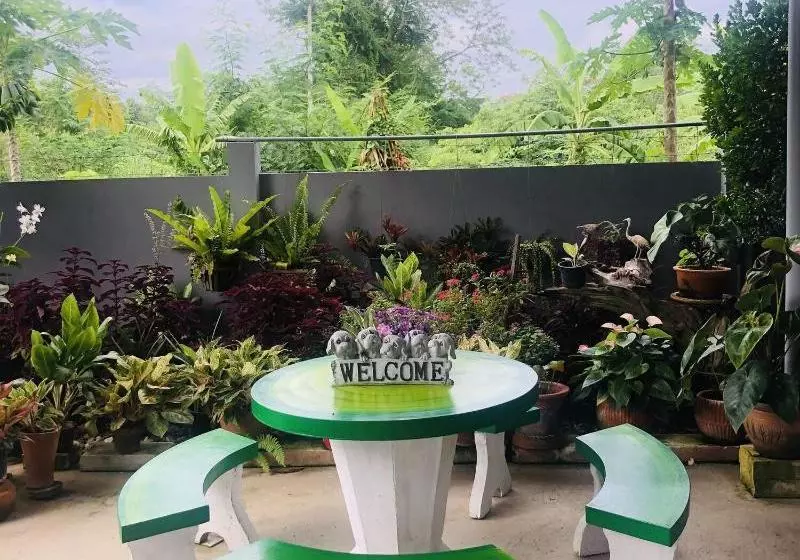 Hostelli In My Place