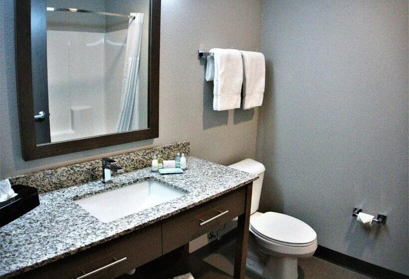 호텔 Brookstone Inn & Suites