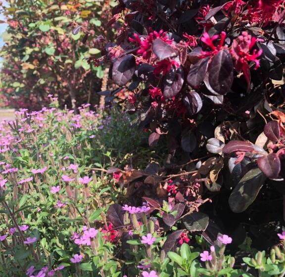 Pension (Hôtel basse catégorie) Casa Elisa Dimora Urbana