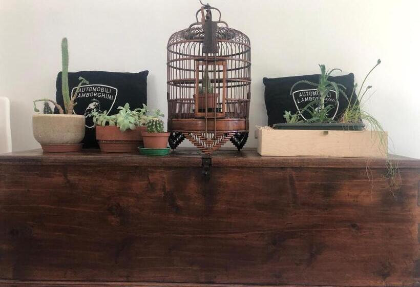 Pension (Hôtel basse catégorie) Casa Elisa Dimora Urbana