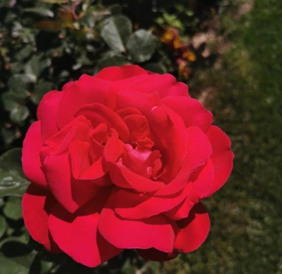 Pension (Hôtel basse catégorie) Casa Elisa Dimora Urbana