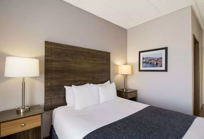 酒店 Best Western Lock Haven