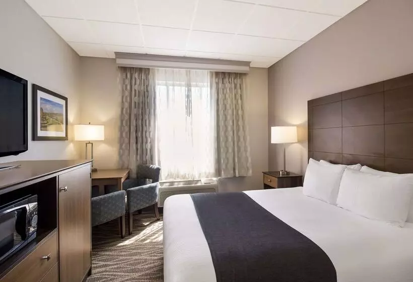 酒店 Best Western Lock Haven