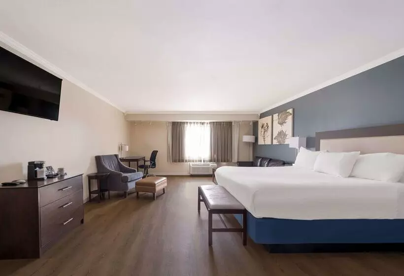 هتل Best Western Mountain View Inn