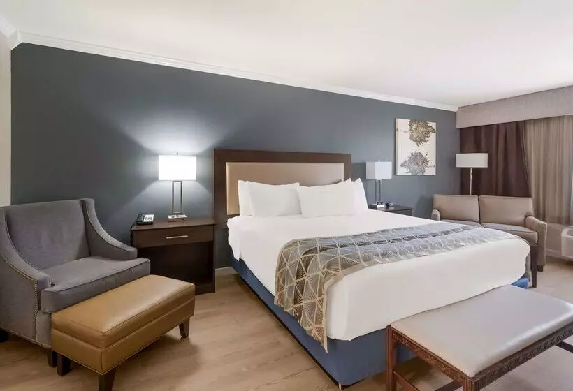 هتل Best Western Mountain View Inn