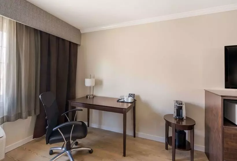 هتل Best Western Mountain View Inn