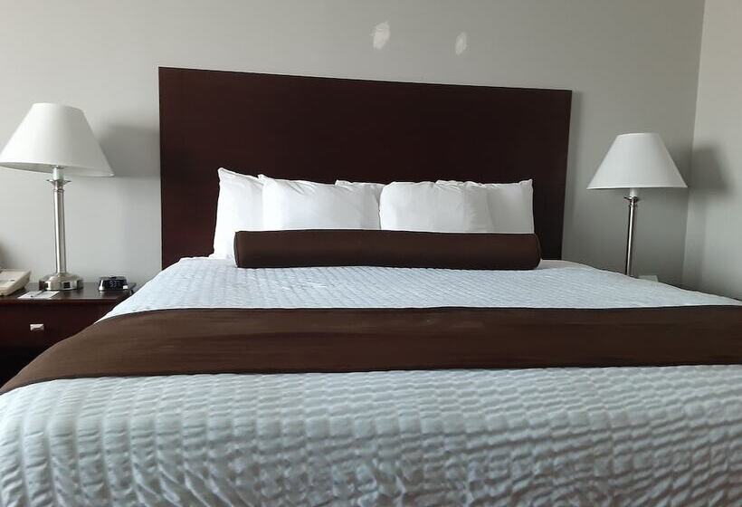 فندق Quality Inn