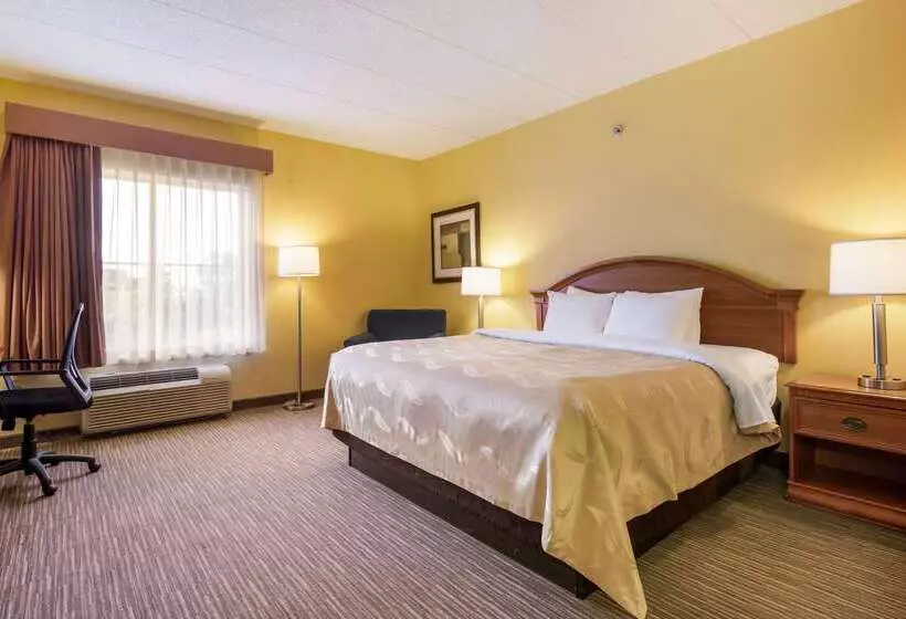 ホテル Quality Inn & Suites Cvg Airport